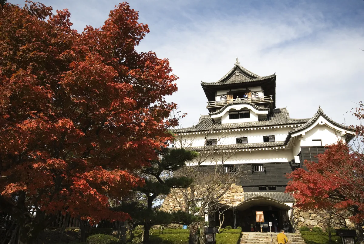 Inuyama Castle with red and gold autumn foliage