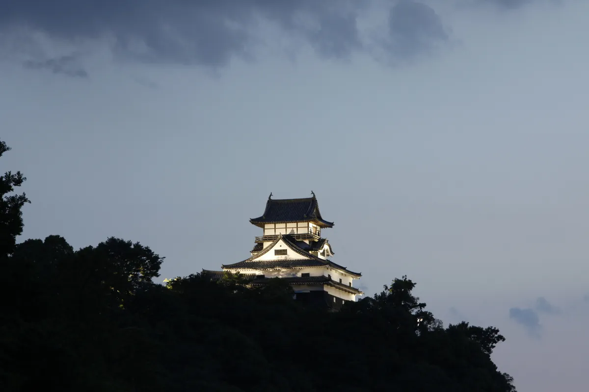 Inuyama Castle lit up at night during the illumination event