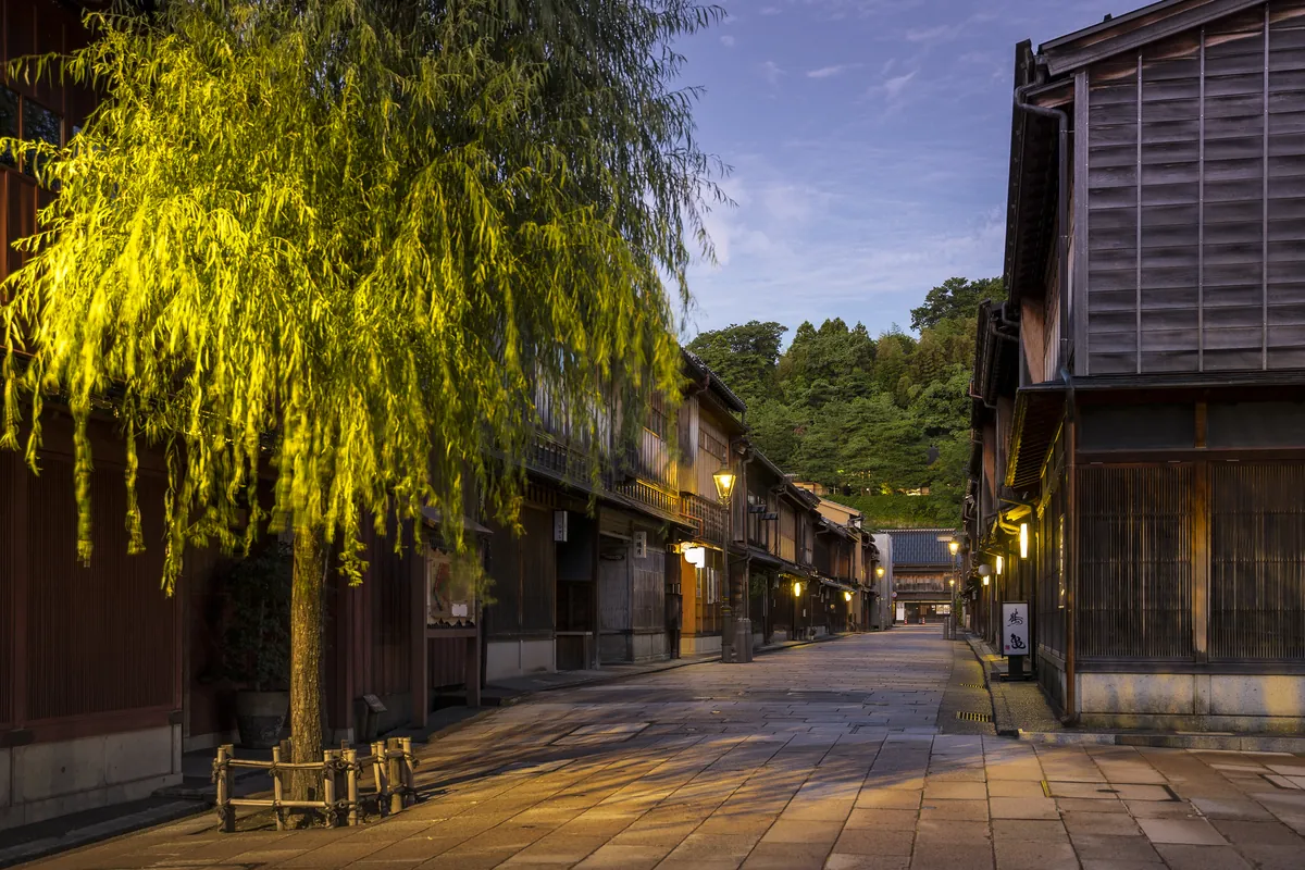 Weeping willow over a quiet stone-paved street in Higashi Chaya geisha district at dusk
