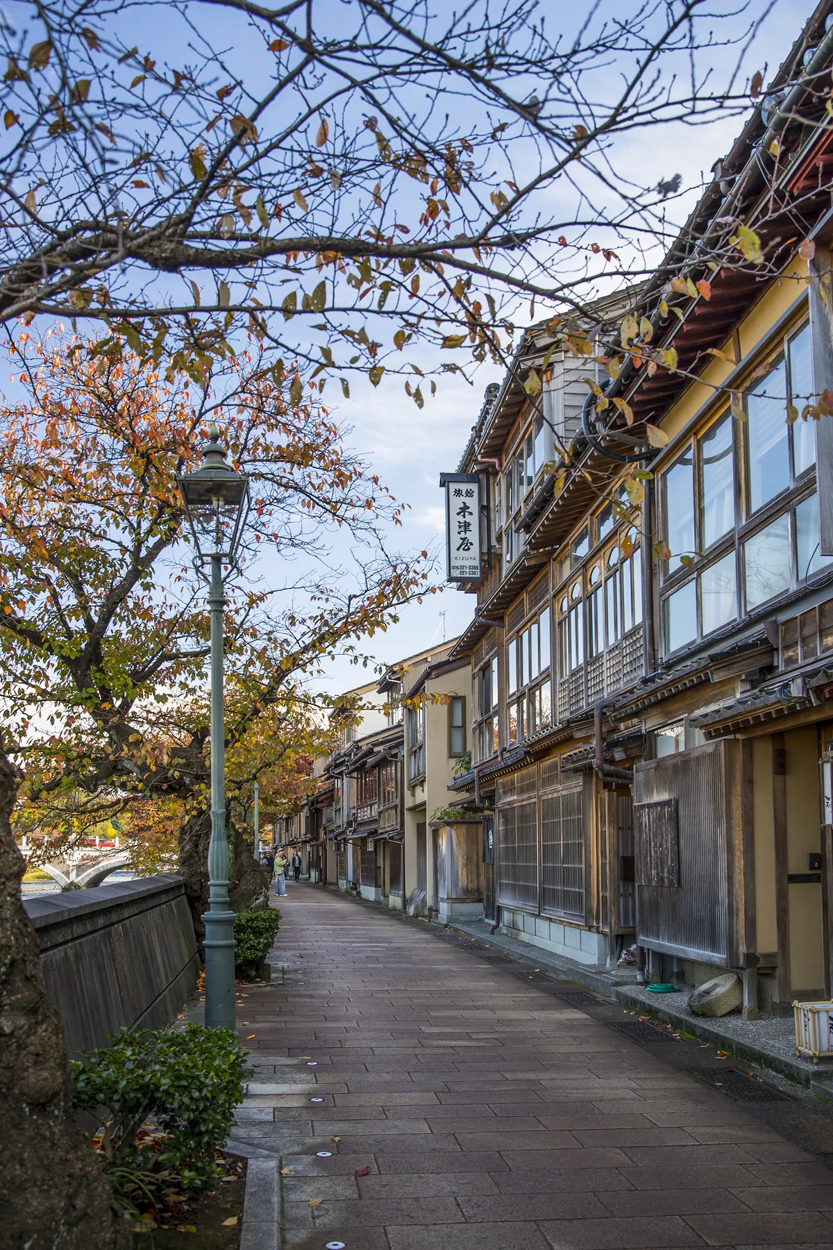 Autumn foliage over traditional wooden geisha houses in Kazuemachi Chaya District in Kanazawa