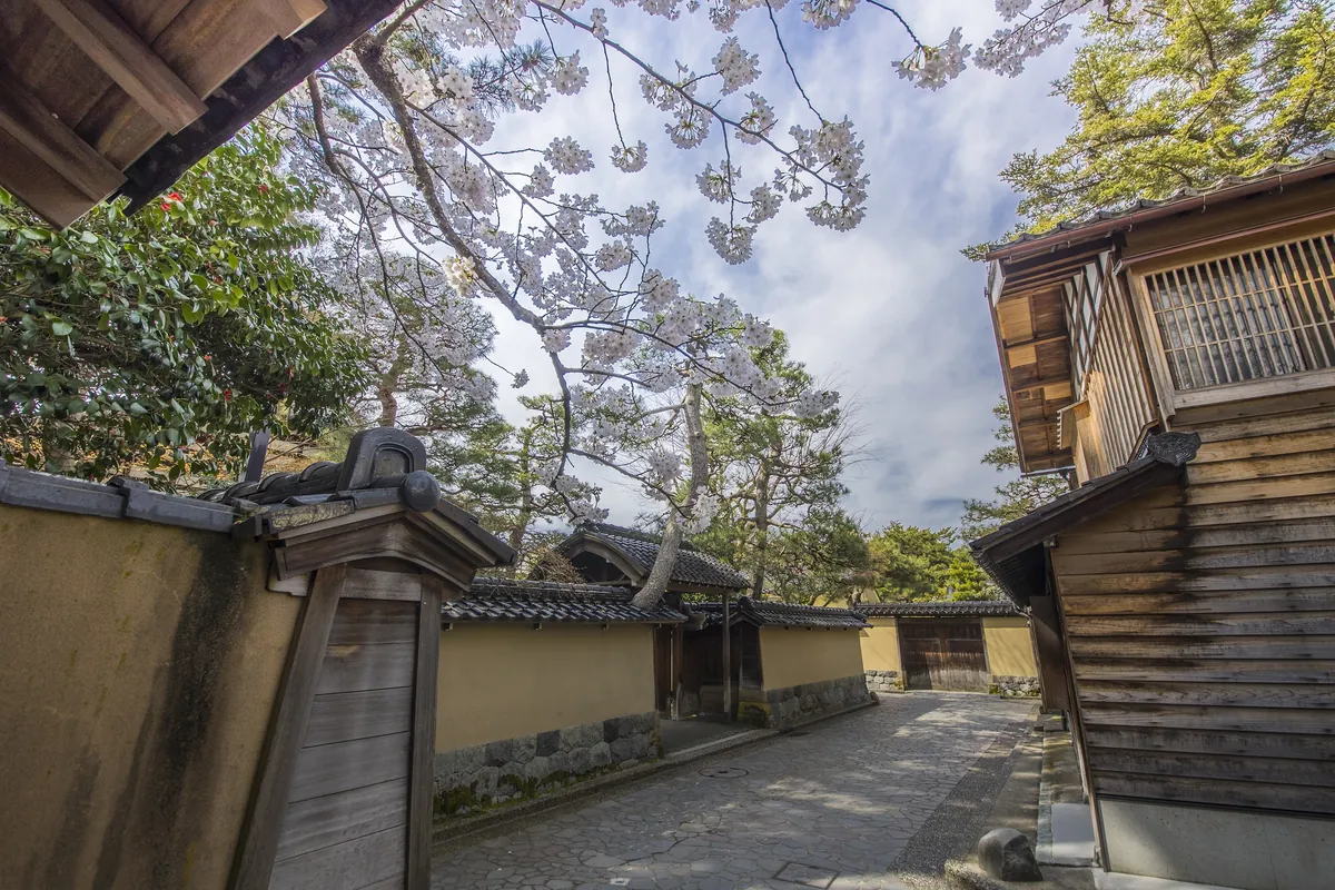 Iconic earthen walls (tsuji-bei) of mud and tile in Kanazawa's samurai district