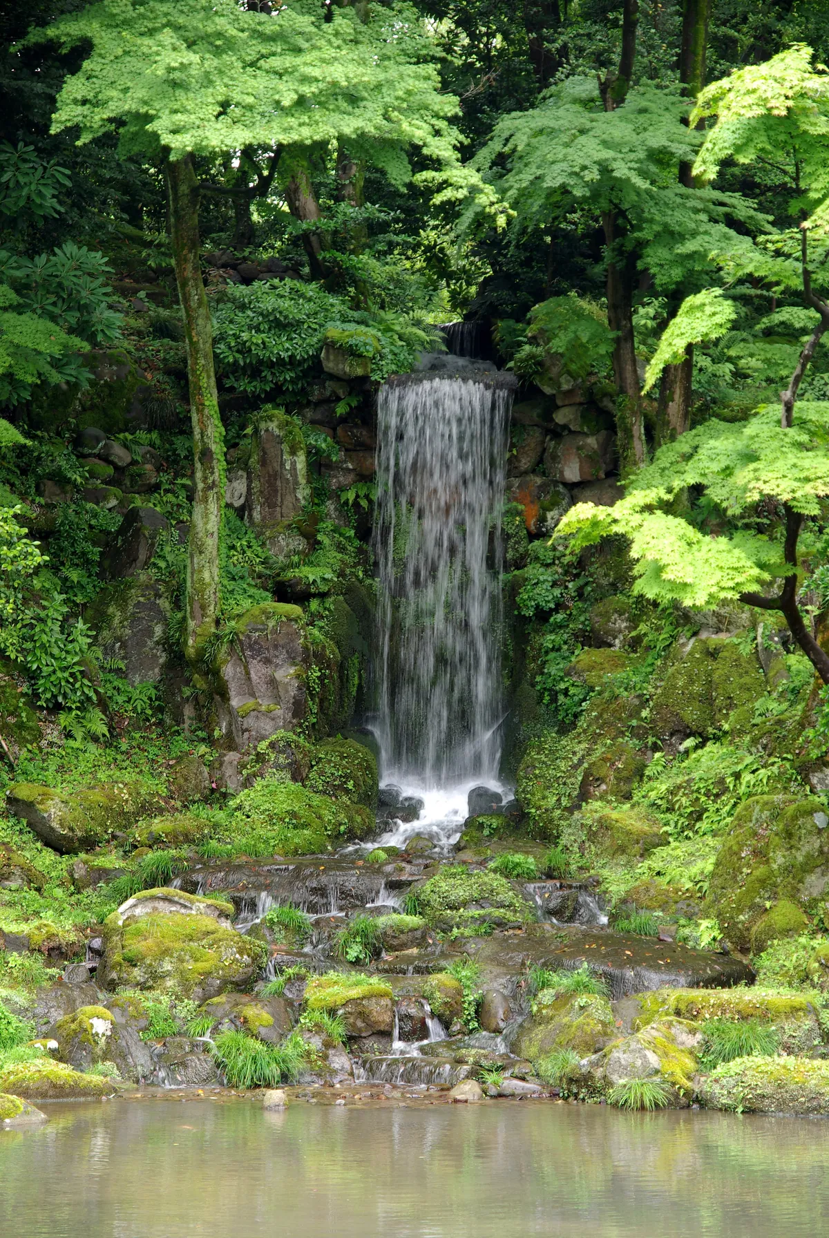 Midori-taki waterfall cascading into a moss-covered pond in Kenrokuen
