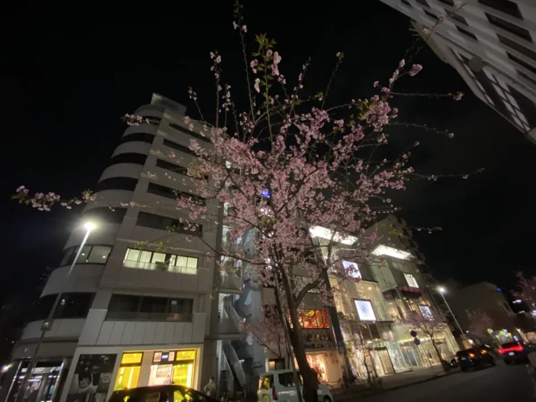 Best Time to Visit Nagoya 2026: A Local’s Month-by-Month Guide to Weather, Festivals, and Crowds