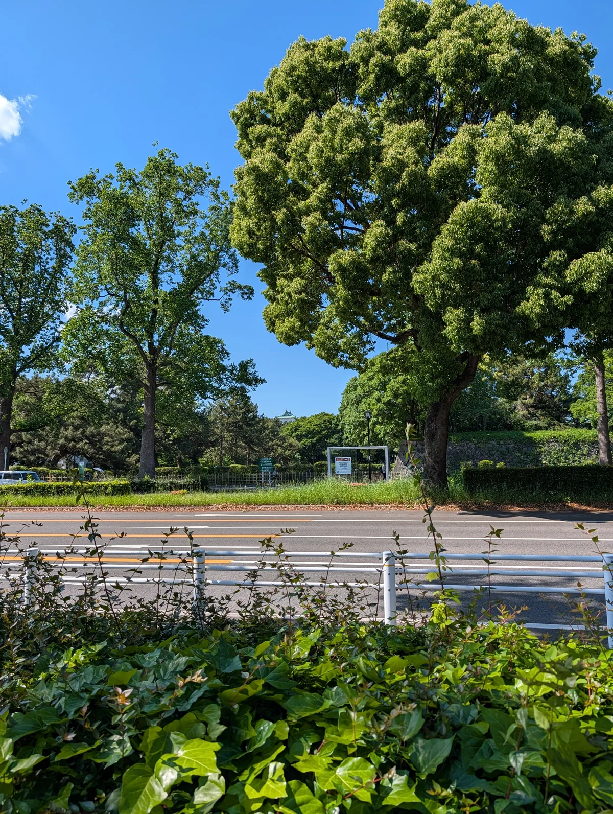 A wide path inside the Nagoya Castle grounds in May, lined with mature trees and lit by strong spring sunlight