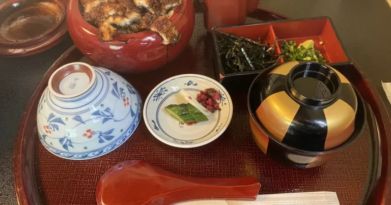 Nagoya Food Guide 2026: 18 Must-Try Nagoya Meshi Dishes