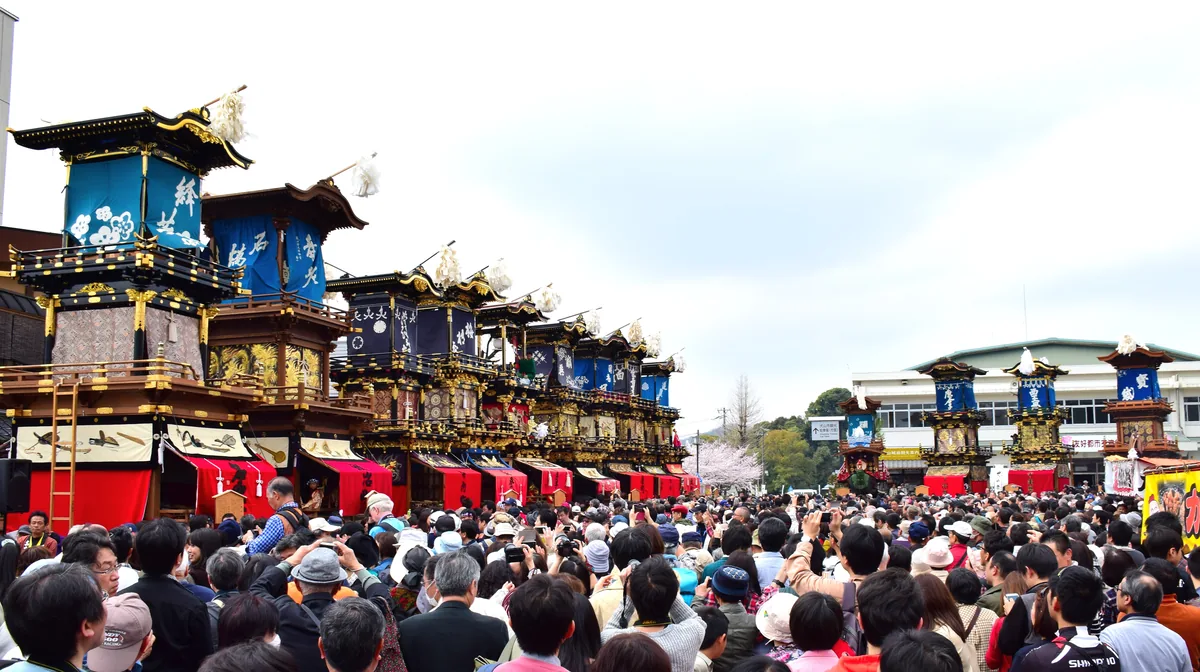 A row of three-tiered festival floats with blue drapes and gilded carvings, drawn up before a crowd