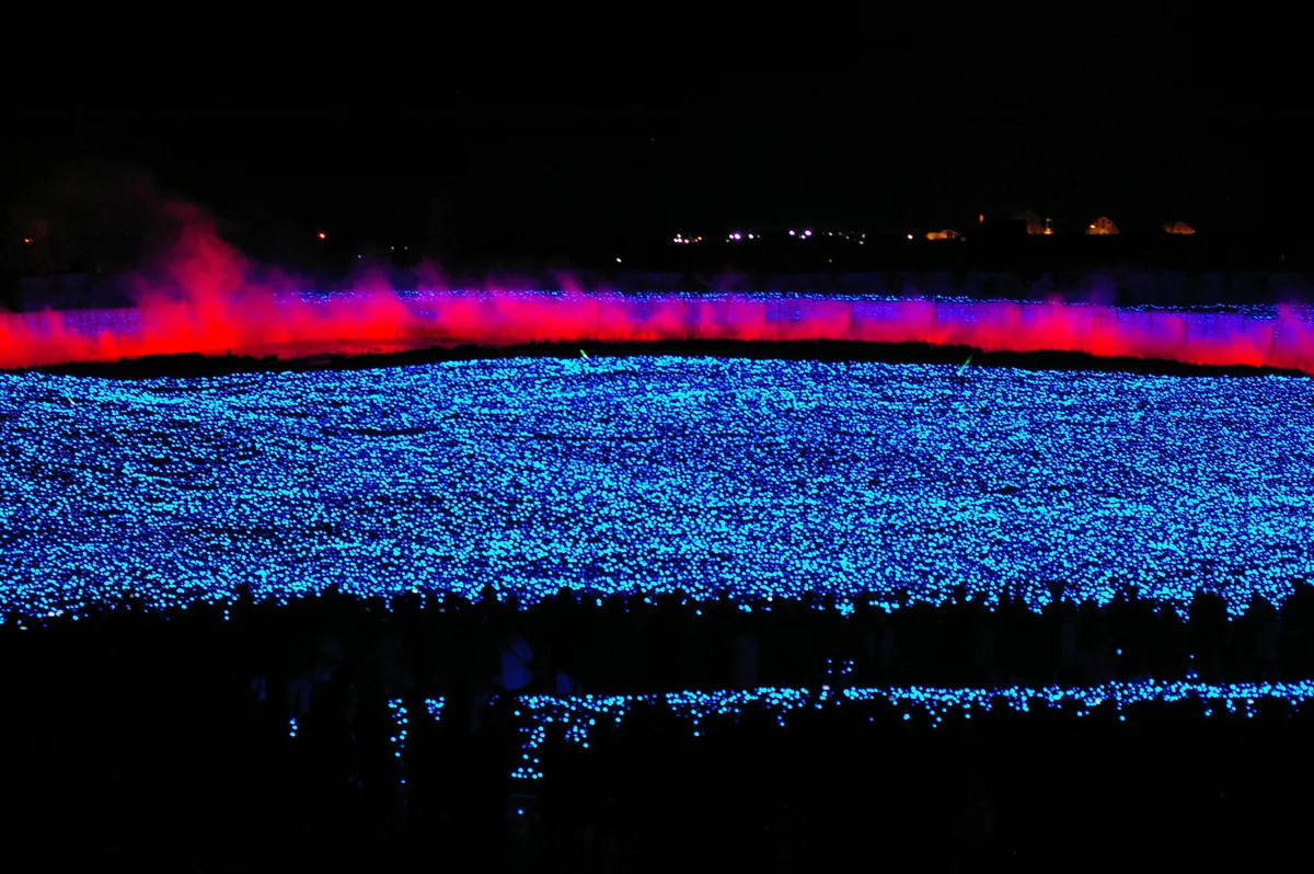 A vast field of blue and white lights stretching to the horizon, with visitors silhouetted along the near edge