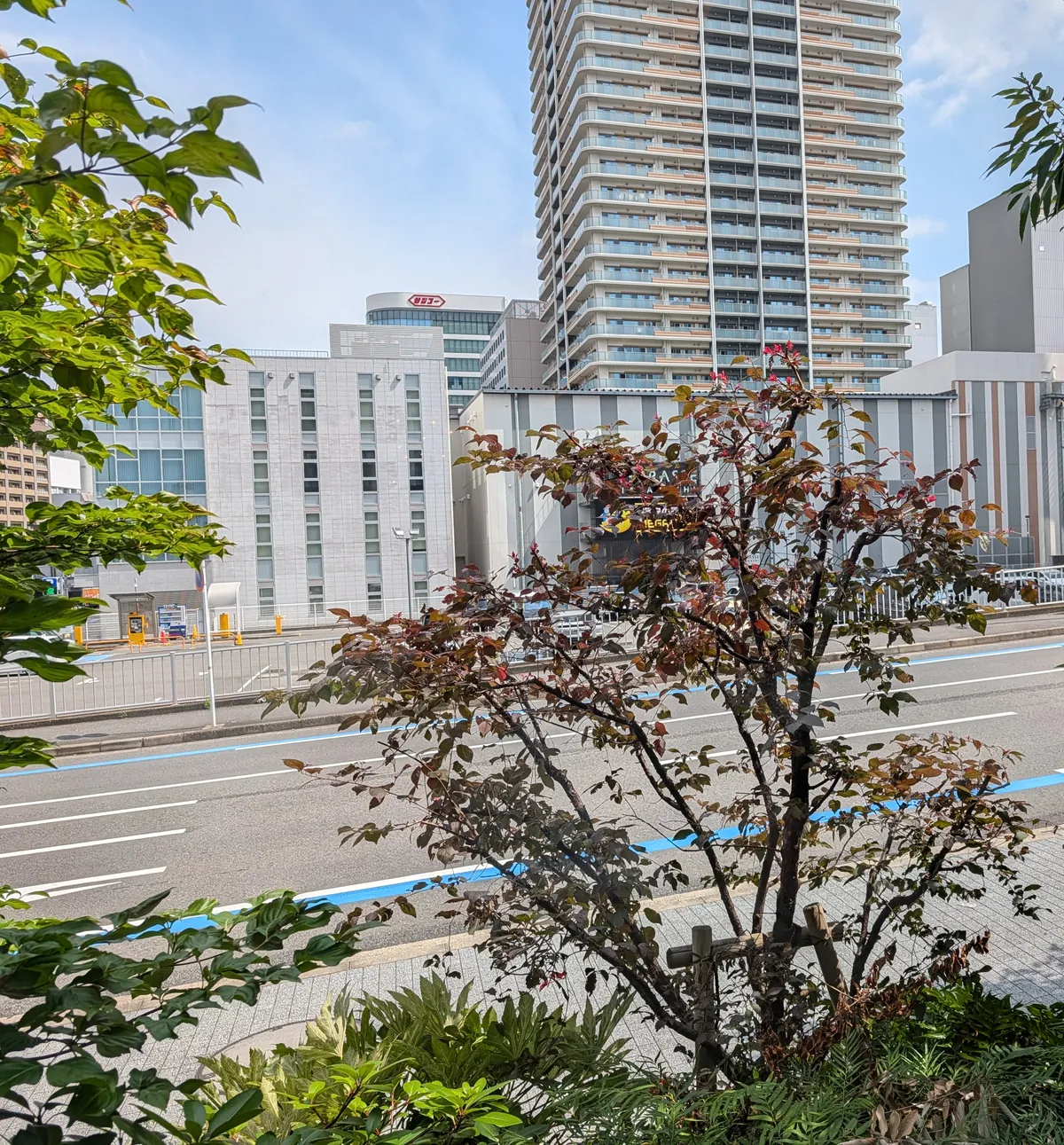 The view out of CRUST restaurant at Courtyard by Marriott Nagoya, looking through glass onto dense green planting along the street beside the Horikawa