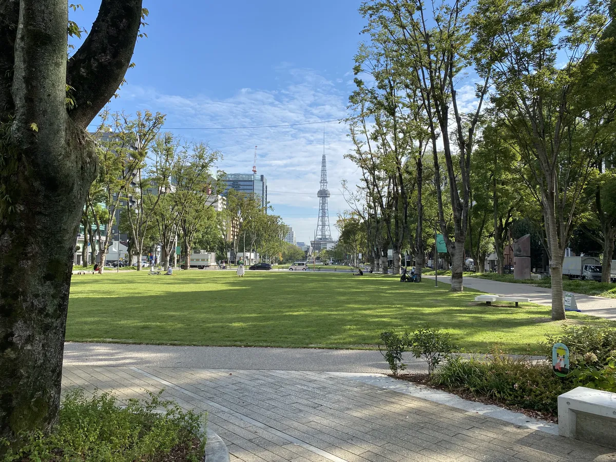 A wide lawn in Hisaya-odori Park framed by zelkova trees, with the lattice television tower rising above the Sakae skyline under a clear sky.