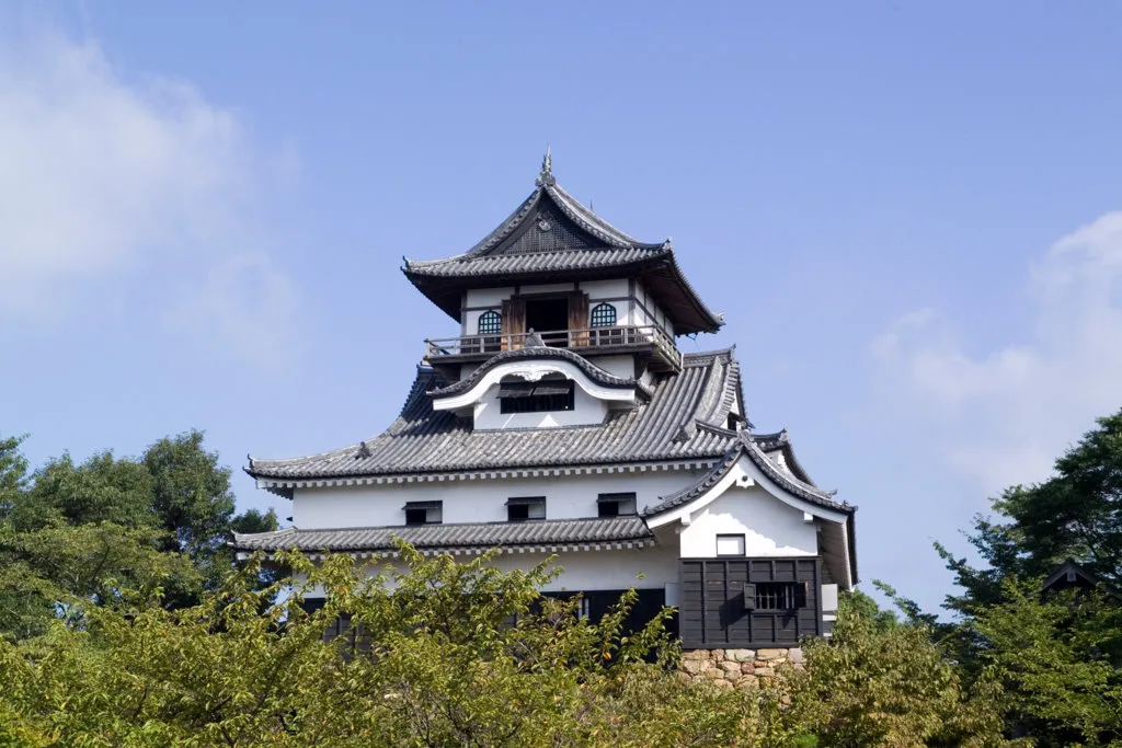 The white and dark-timber keep of Inuyama Castle rising above a ring of green treetops against a clear summer sky.