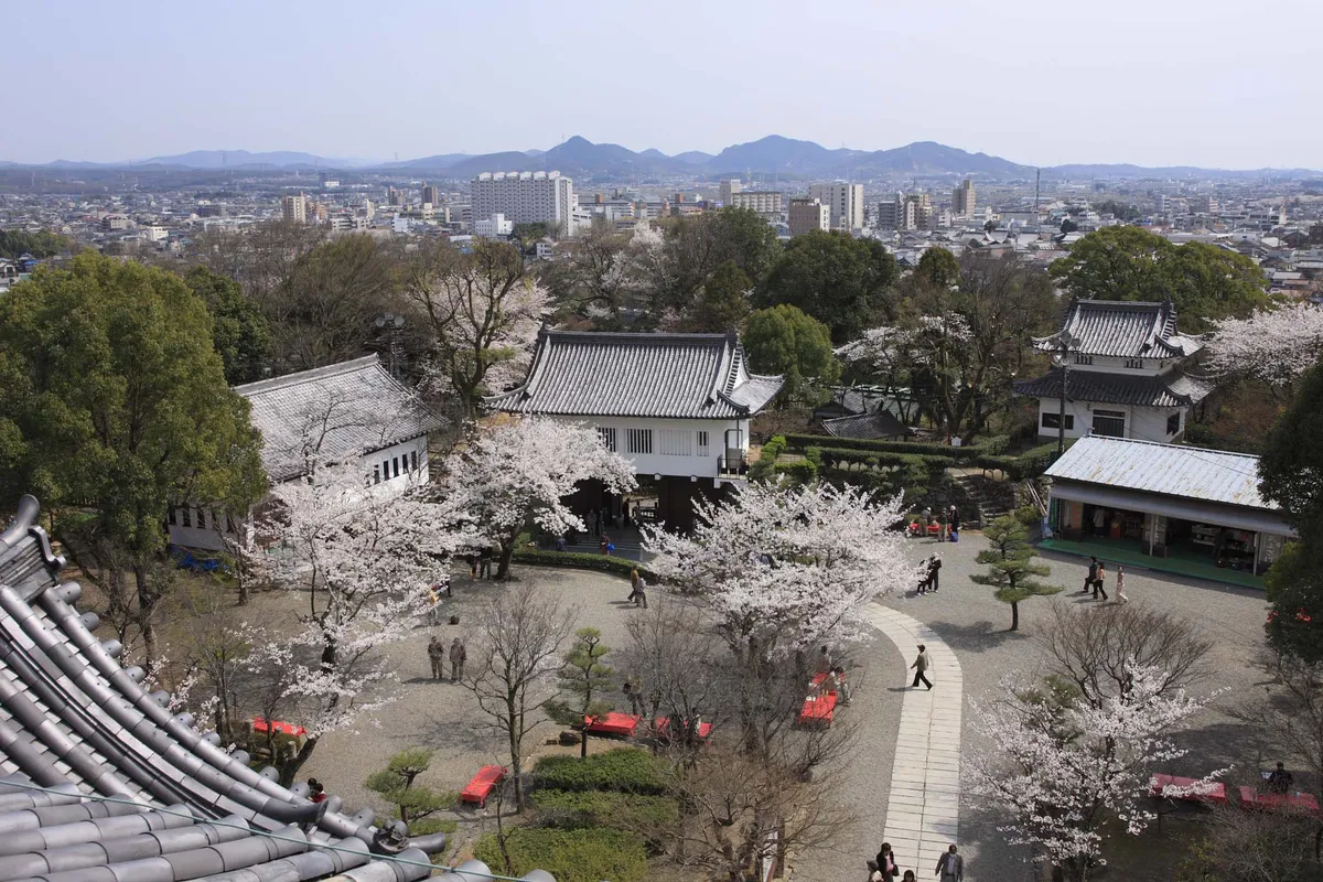 The view from Inuyama Castle's keep: cherry trees in bloom over the gate and turret below, with the town and low mountains beyond.