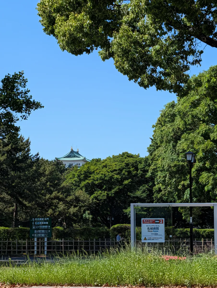 The upper roofs of the Nagoya Castle keep with its golden shachihoko rising above a line of trees, seen from a street corner with a green bilingual direction sign and a covered city bus stop in the foreground
